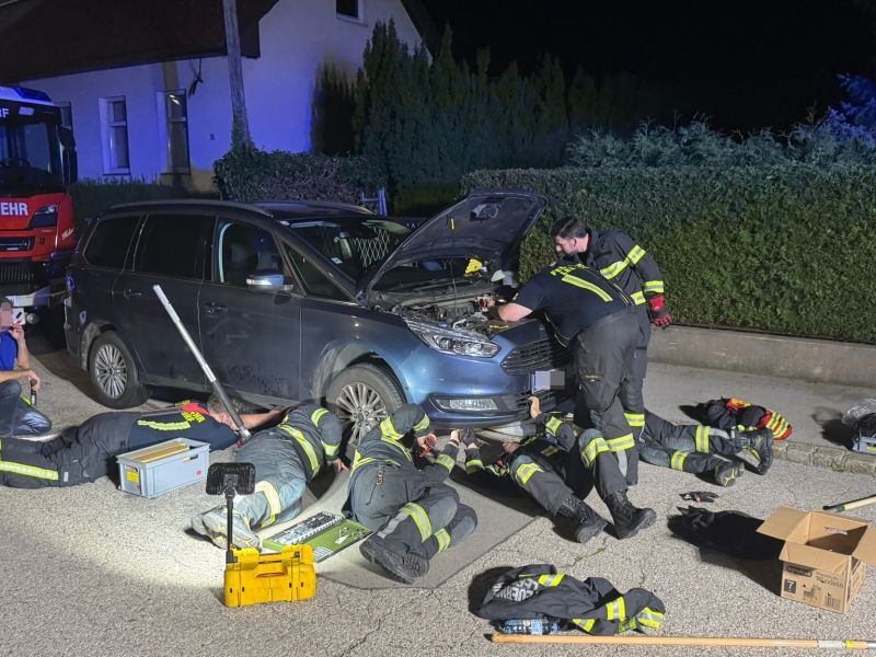 Ob prihodu s Hrvaške zaslišali nenavaden zvok: uganko razvozlali gasilci (foto)