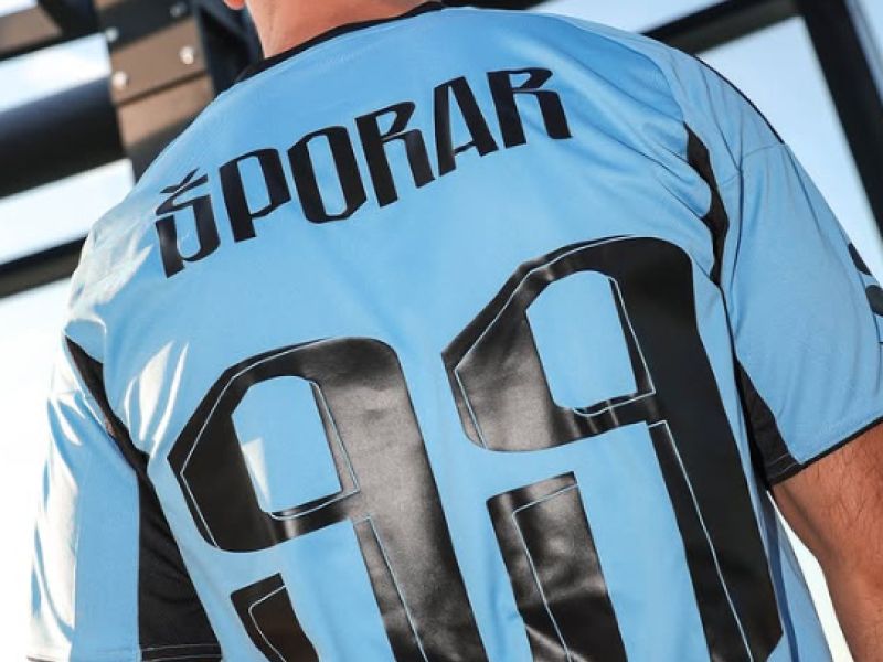 Šporar na zdravniškem, Slovaki sporočili podrobnosti odmevnega posla