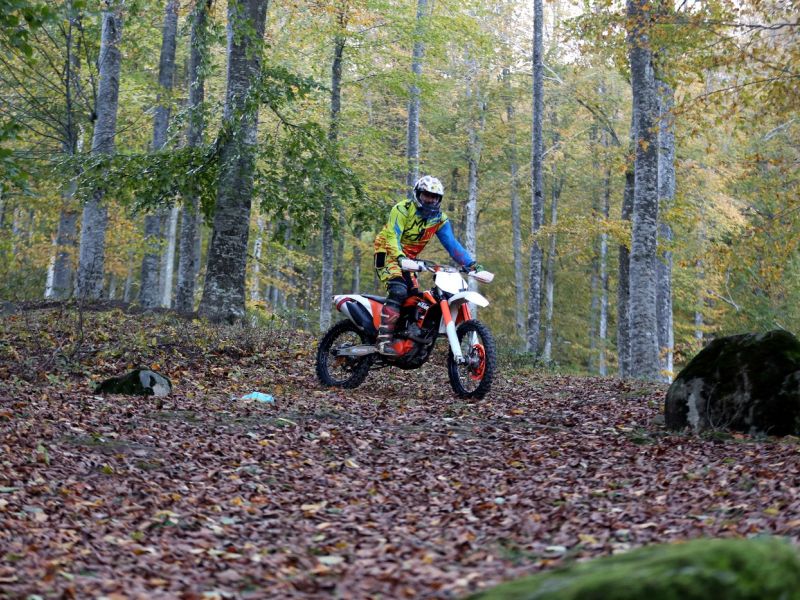 Ministrstvo opozarja na škodljive posledice vožnje z motornimi vozili v naravi