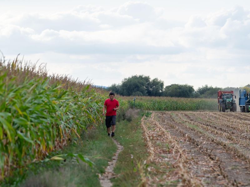 Izkoriščanje delavcev na slovenski kmetiji: to so ugotovili inšpektorji