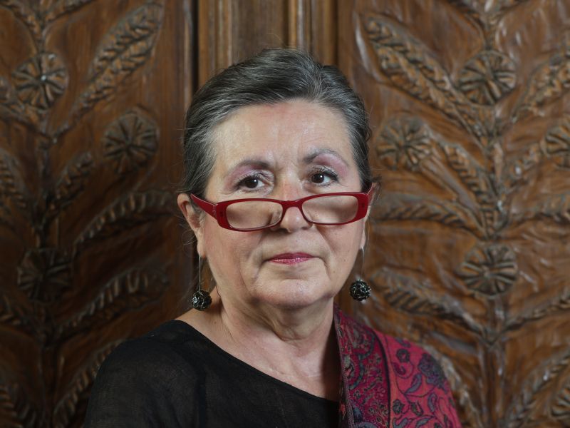 Janševa napaka je napačen izbor sodelavcev, kronska napaka pa je Stevanović