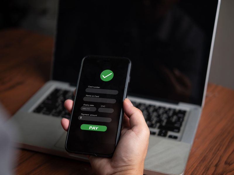 Plačila in nakazila bodo izvedena takoj