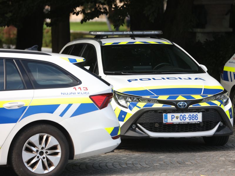 Za napada na policista vložena obtožnica za 25-letnika iz Kočevja. Grozi mu deset let zapora.