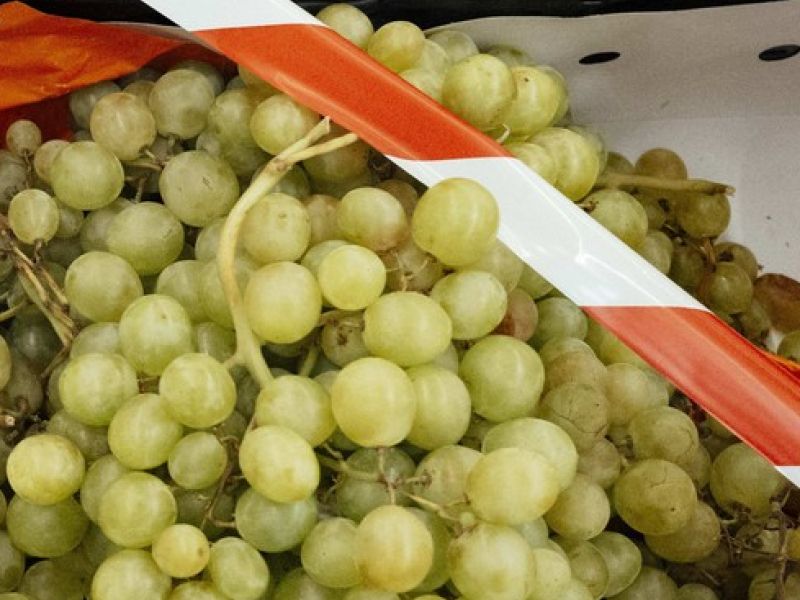 Potrošniki, pozor: Če ste kupili belo grozdje, ga ne uživajte