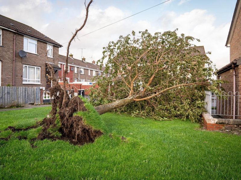 Neurje terjalo smrtno žrtev, ogromno ljudi brez elektrike (video)