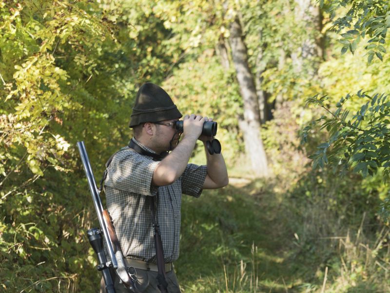 Lovci mislili, da je v zelenju divja svinja, a tam je bil nesrečni Srđan