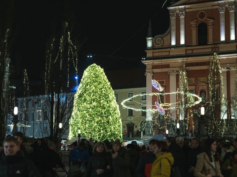 Ljubljana išče smreke za praznično okrasitev