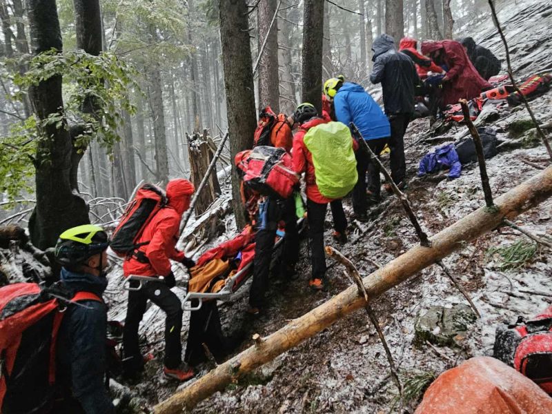 Planinka umrla po padcu drevesa, gorski reševalci posredovali pri reševanju pohodnika