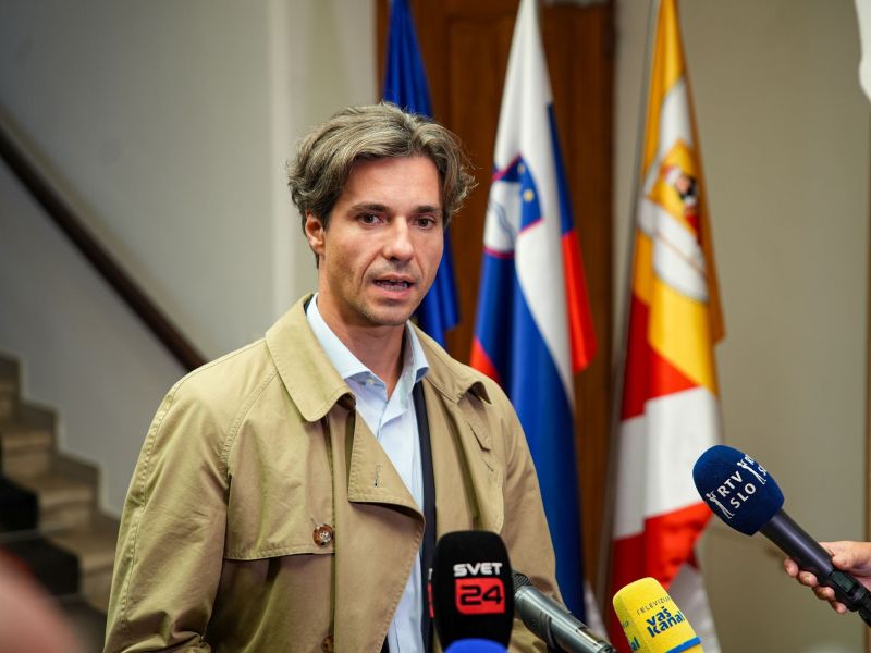 Levica: &quot;NSi in SDS se gresta politikantske igre za lastno korist&quot;