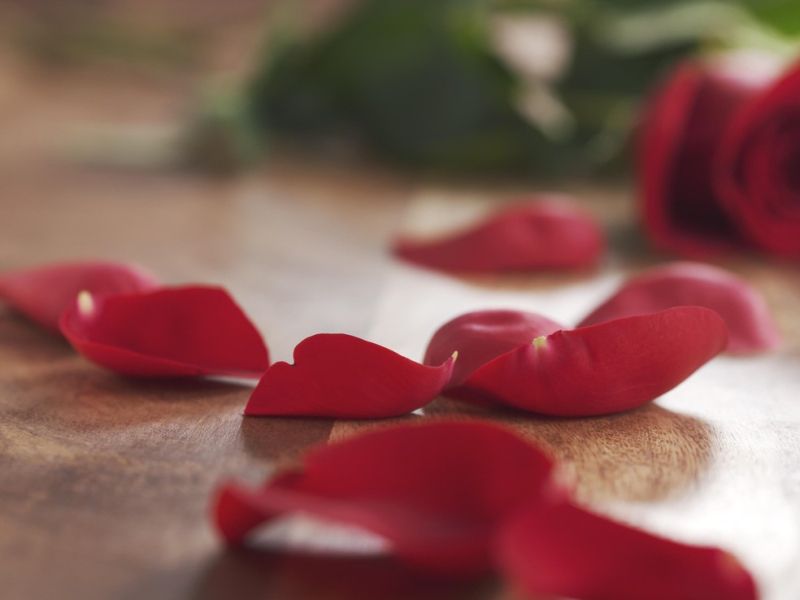 Latvija za izstop iz konvencije o preprečevanju nasilja nad ženskami