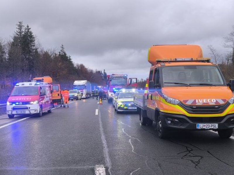 Reševalni pas na primorki rešil življenje, zapora bo kmalu odpravljena