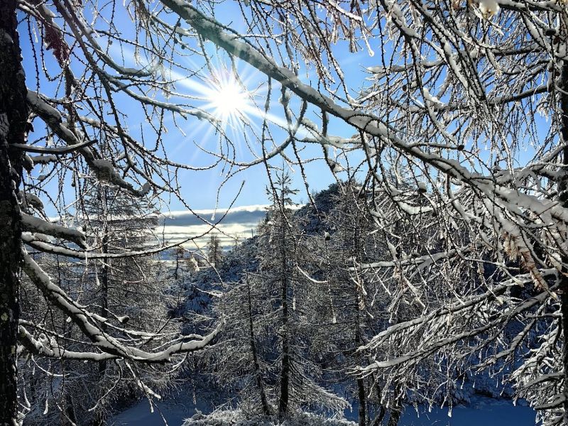 Prihaja občutna ohladitev: Kdaj lahko pričakujemo sneg po nižinah?