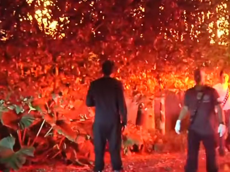 Dragićevemu trenerju do tal pogorela hiša, prizori močno šokirajo (video)