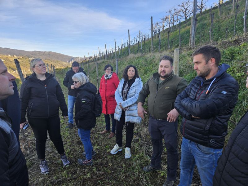 Država napoveduje pomoč vinogradnikom po plazovih v Brdih
