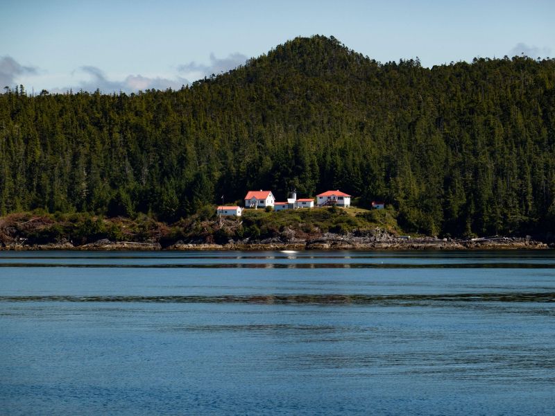 Grizli v Kanadi napadel skupino šolarjev in učiteljev, 11 poškodovanih