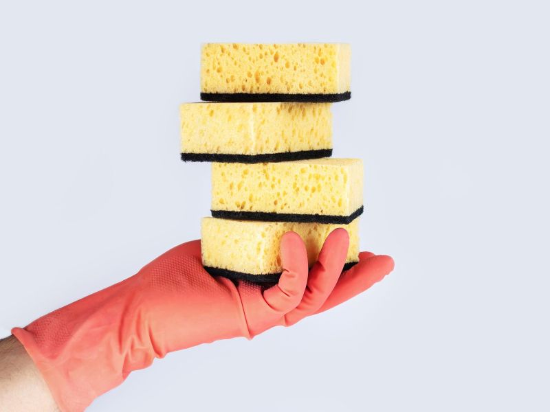 Nikoli več ne zavrzite gobice, poglejte kje vse je uporabna