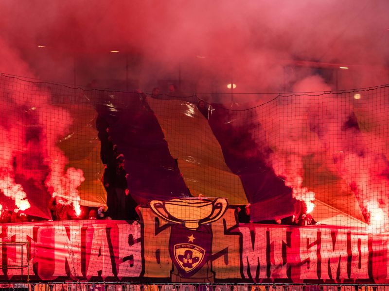 Viole v angleščini nagovorile igralce, Repas razkril, kaj so jim povedale