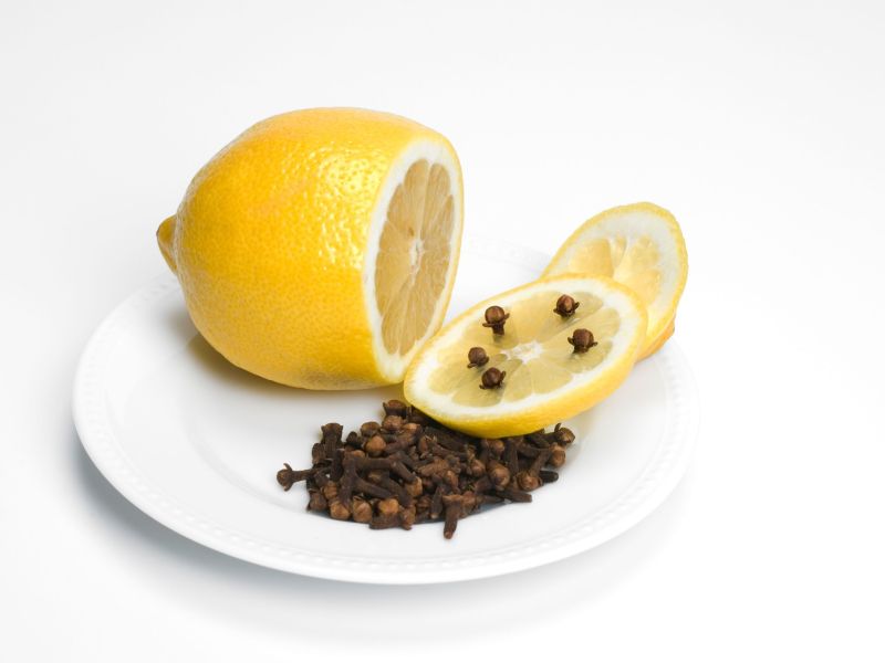 Molji v omari? Ta trik z limono jih odžene za vedno