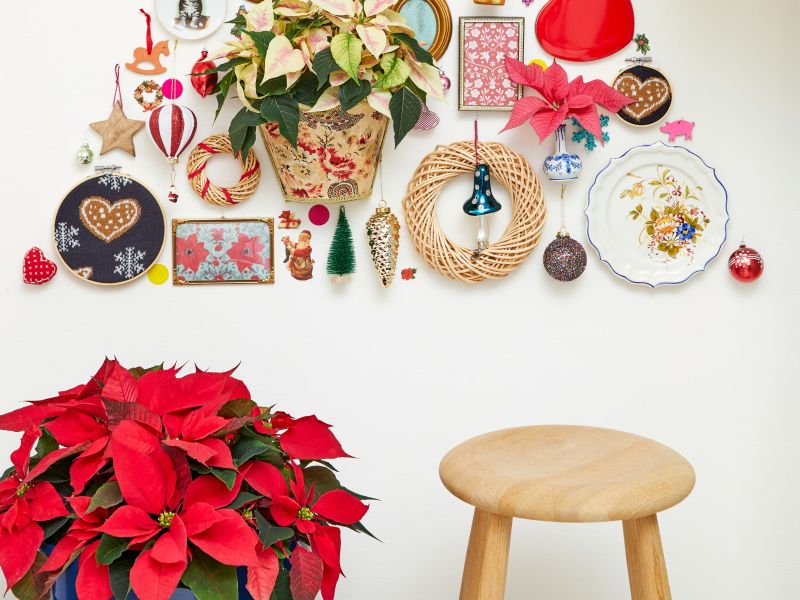 To rastlino posadite že danes, da prinese srečo v letu 2026