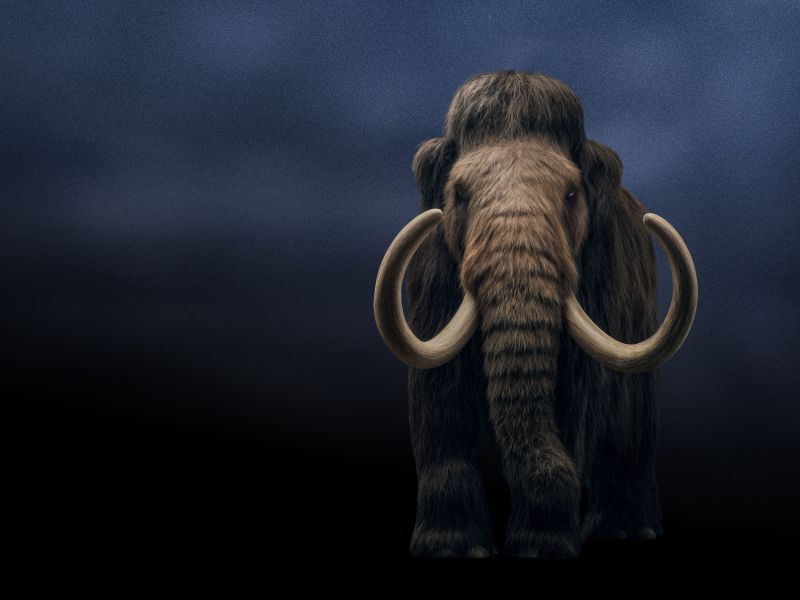 Science Illustrated: Znanost obuja že izumrle živalske vrste