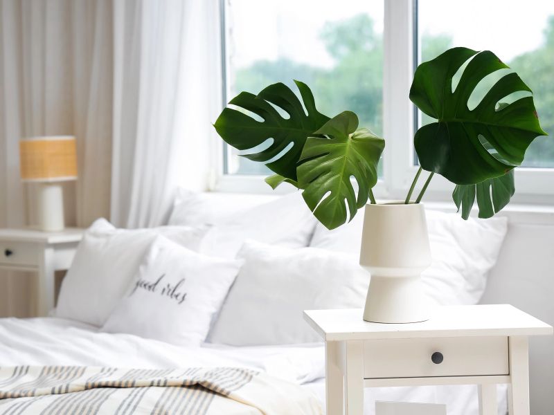 Poceni triki, ki takoj izboljšajo počutje doma