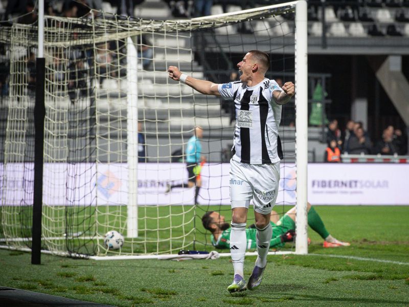 Iz Fazanerije v Ljudski vrt - Vizinger kot rešitev, Vizinger kot problem