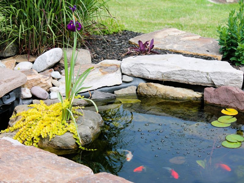 Ta vrtni projekt je največji trend 2026 – in videti je kot iz pravljice