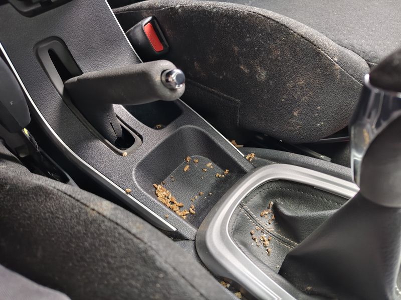 V avtomobilu je več bakterij kot v stranišču – ta del je najbolj umazan