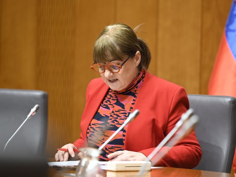 Poslanki Vonti grozili s smrtjo, v državnem zboru policija