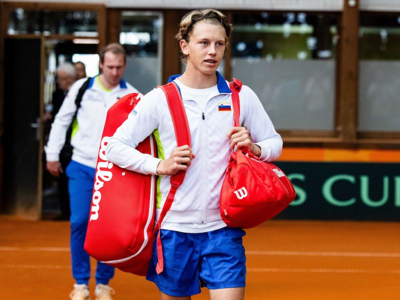 Ni bilo ne Martina Krpana ne Toma Cruisa. Turki skoraj do Dunaja