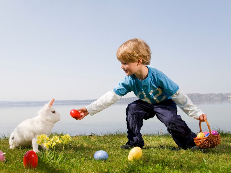 Letos bomo pekli potico in barvali pirhe zelo zgodaj