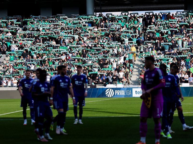 Green Dragonsi tako prekinili večni derbi v Stožicah (video)