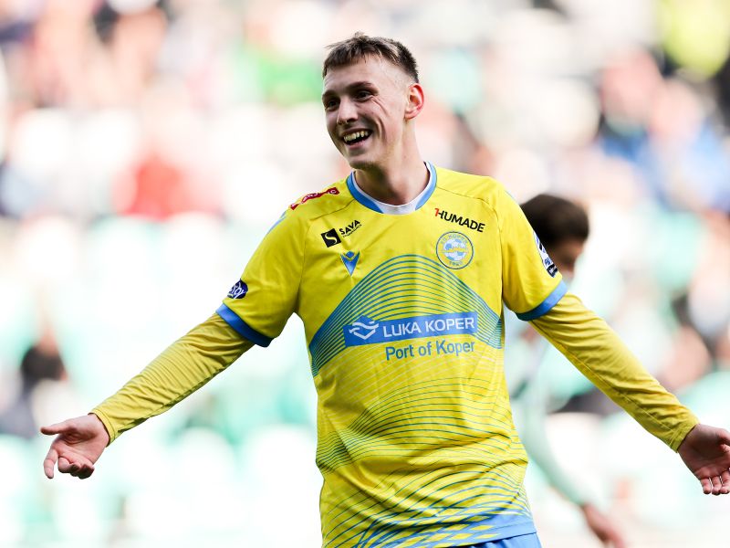 Katastrofa? Slovenci, ki so zapustili rodno grudo. Kaj pa Hrvati, Srbi?