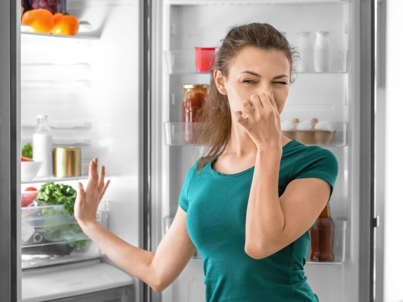 Hladilnik smrdi? 5 razlogov, ki jih mnogi spregledajo