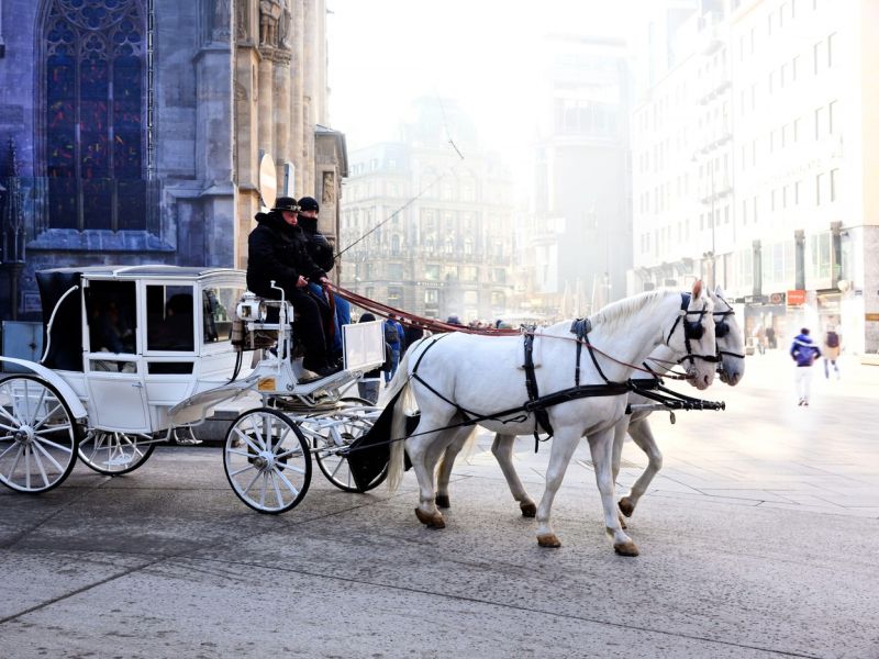 Na Dunaju sredi ulice znova obležala obnemogla kobila