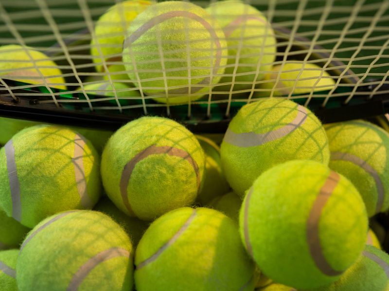 Regija v primežu škandala – Srbkinja je vse priznala, kazen pomeni konec