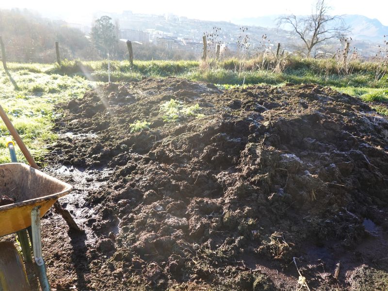 Pri Mežici med prevažanjem gnoja umrl domačin