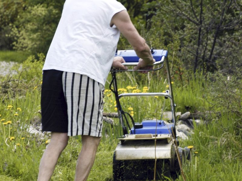 Pozor, košnja ob nedeljah in praznikih vas lahko drago stane