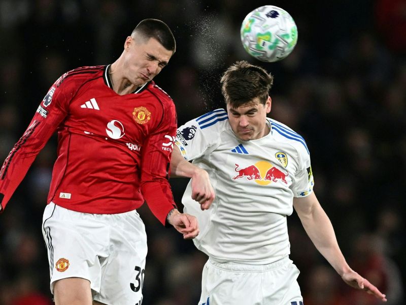 Šeško in Bijol sta si počela vse tole - kot zgodba o Pogačarju in Rogliču