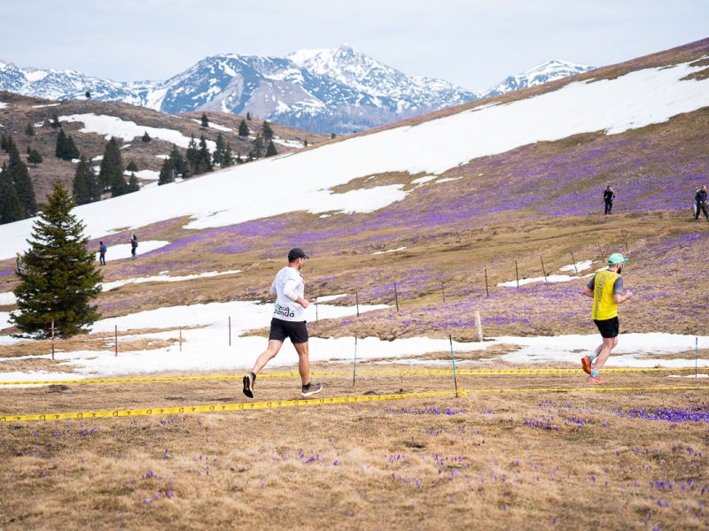 Na Veliki planini v družbi snega in žafrana