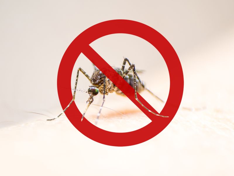 Svetovni dan malarije: Kaj morajo vedeti slovenski potniki?