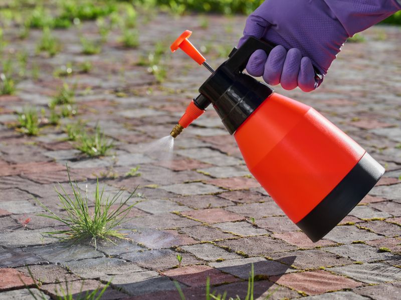 Ta sprej uniči plevel do korenin - brez truda