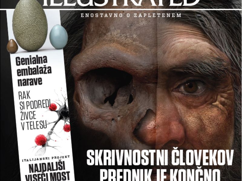 Science Illustrated: Najnovejša odkritja od denisovcev do oblike jajca