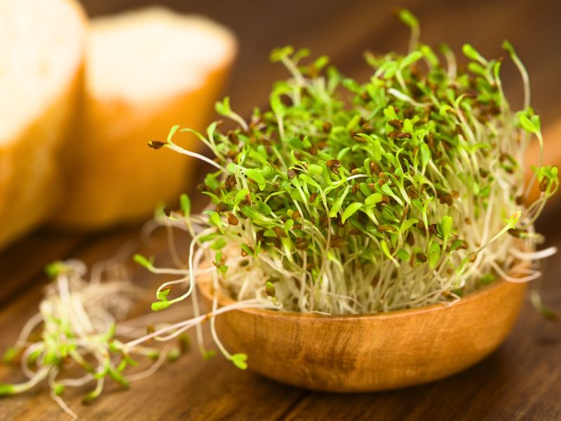Surovi ali kuhani kalčki: Tveganja, koristi in recept za pomladno jed