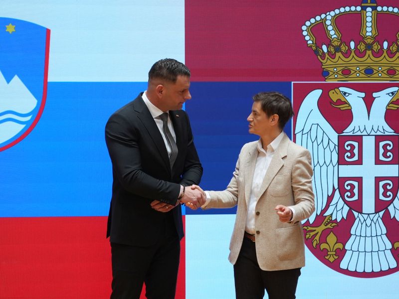 Beograd odprl vprašanje Srbov v Sloveniji in želi o tem še razpravljati