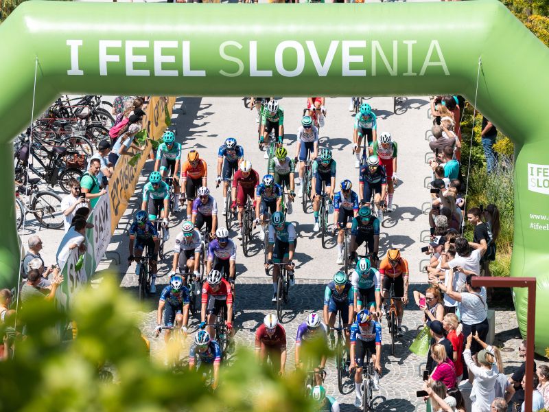 Rogličevi biki glavni v Sloveniji