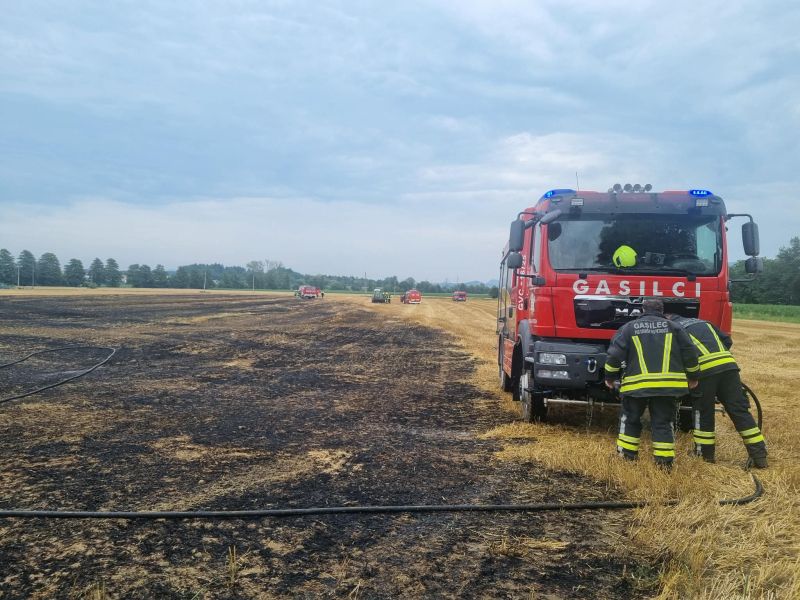 V Arji vasi je zagorelo polje, gasilci so preprečili najhujše (foto)