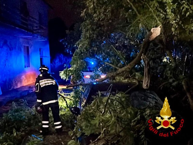 V Španiji evakuacije zaradi požara, pogorelo že 35 hektarjev površine