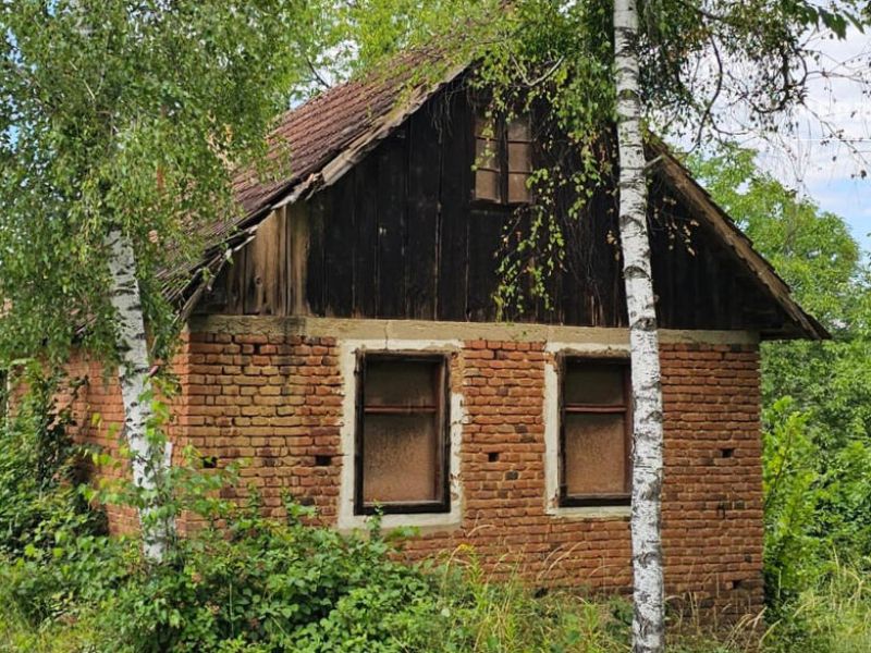 Za 29.500 evrov dobite hišo in skoraj 13.000 kvadratov
