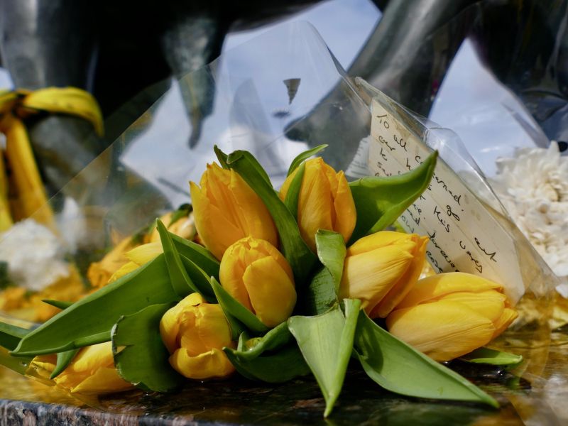 Tragedija zasenčila zmago reprezentance: 16-letnik trčil v zid in umrl